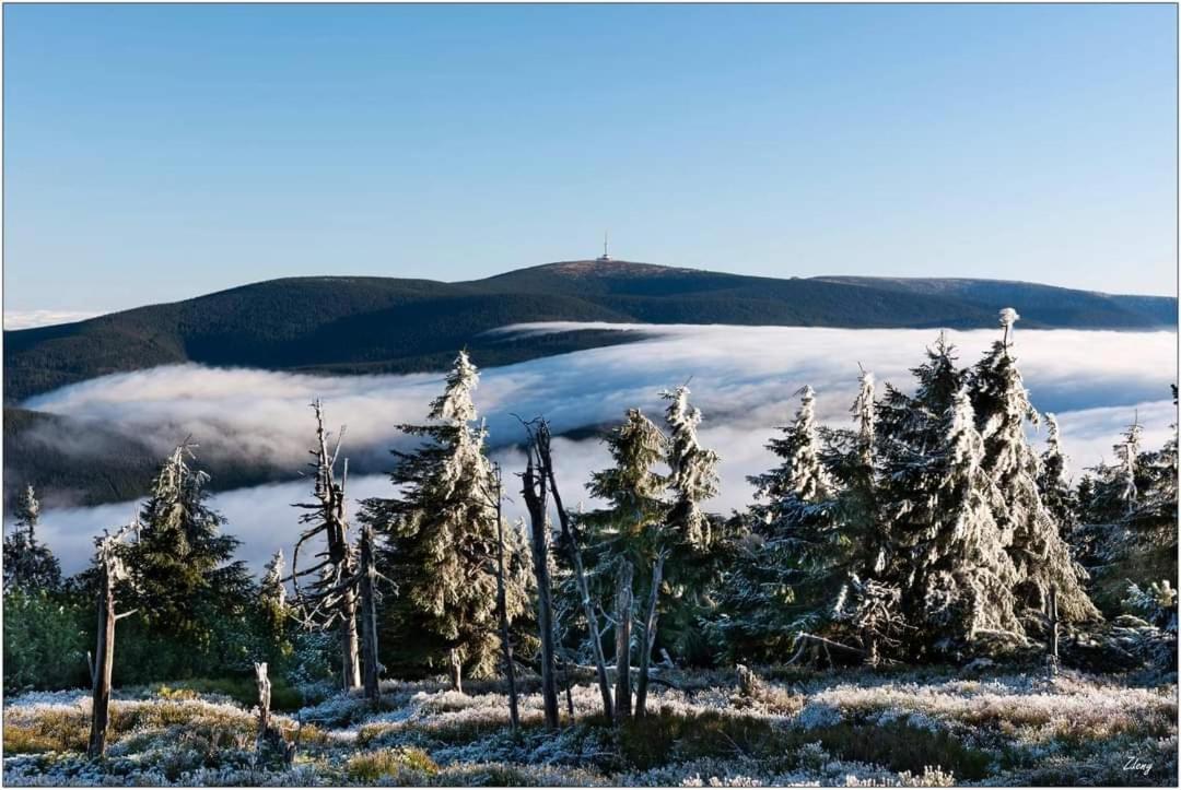 Apartmány Modus 2 Česká Ves Exterior foto